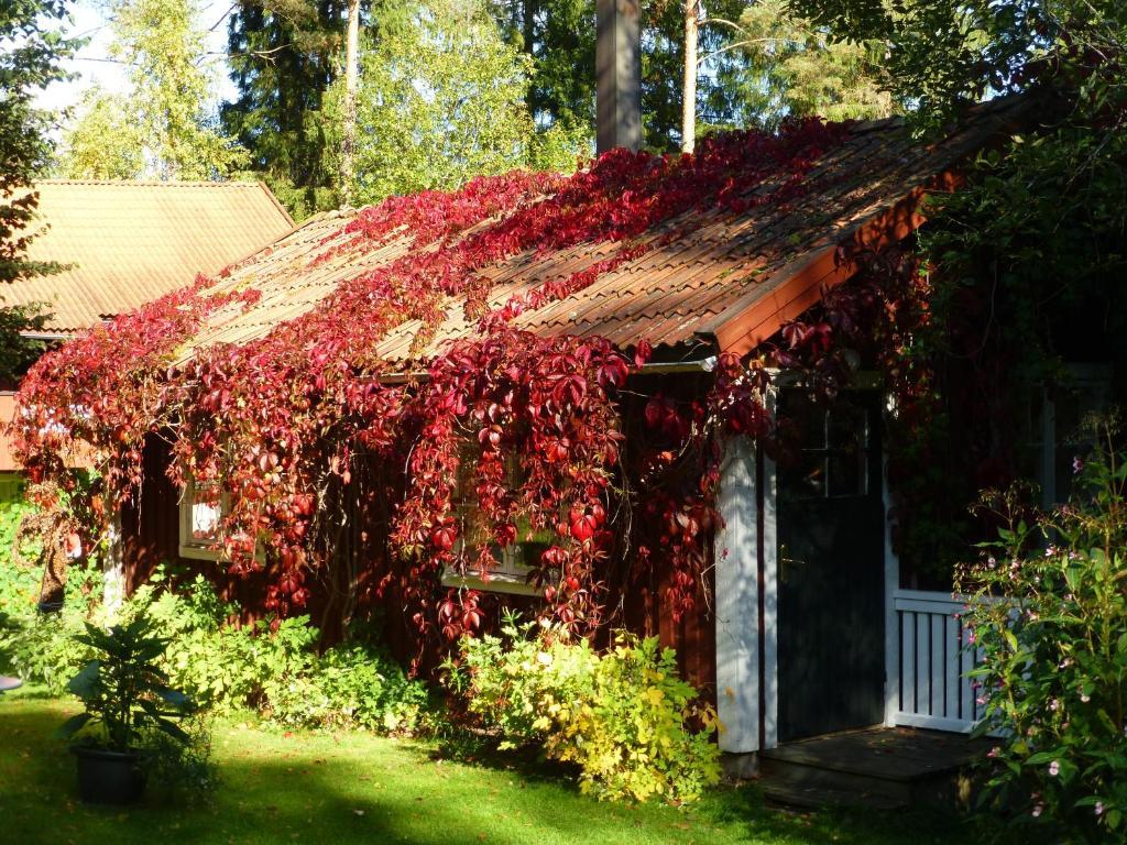 Praestmyrens Vandrarhem Ransater Room photo